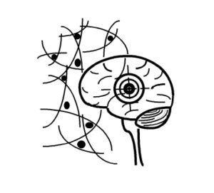 Neuron alapítvány logója
