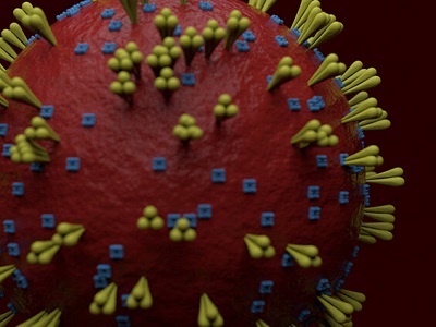 Koronavírus 3D-s modellje